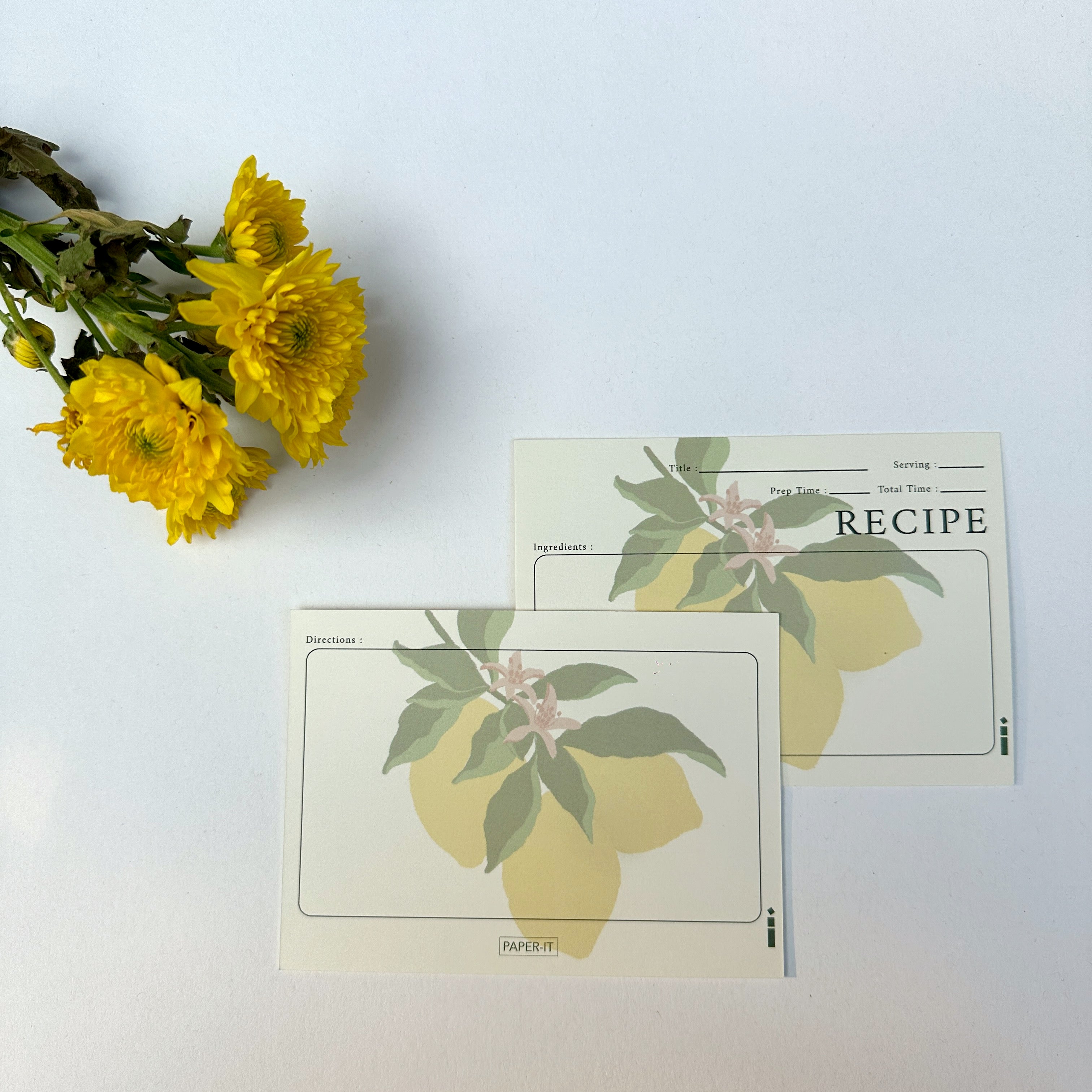 Sunny Lavender | Recipe Cards Box