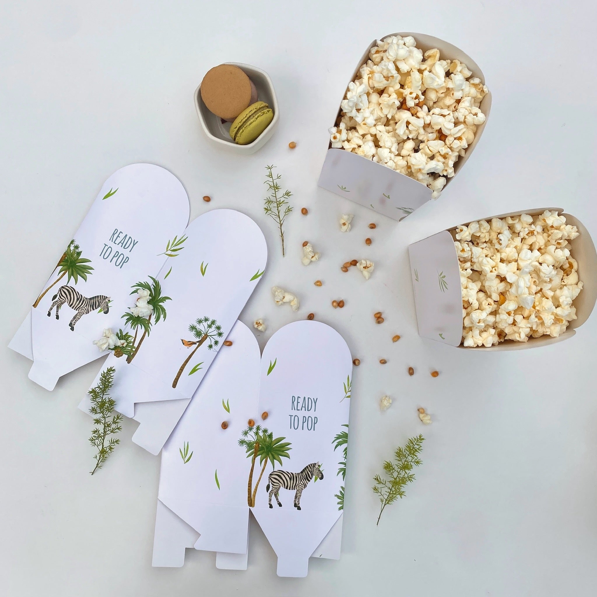 Popcorn party packs (set of 5)