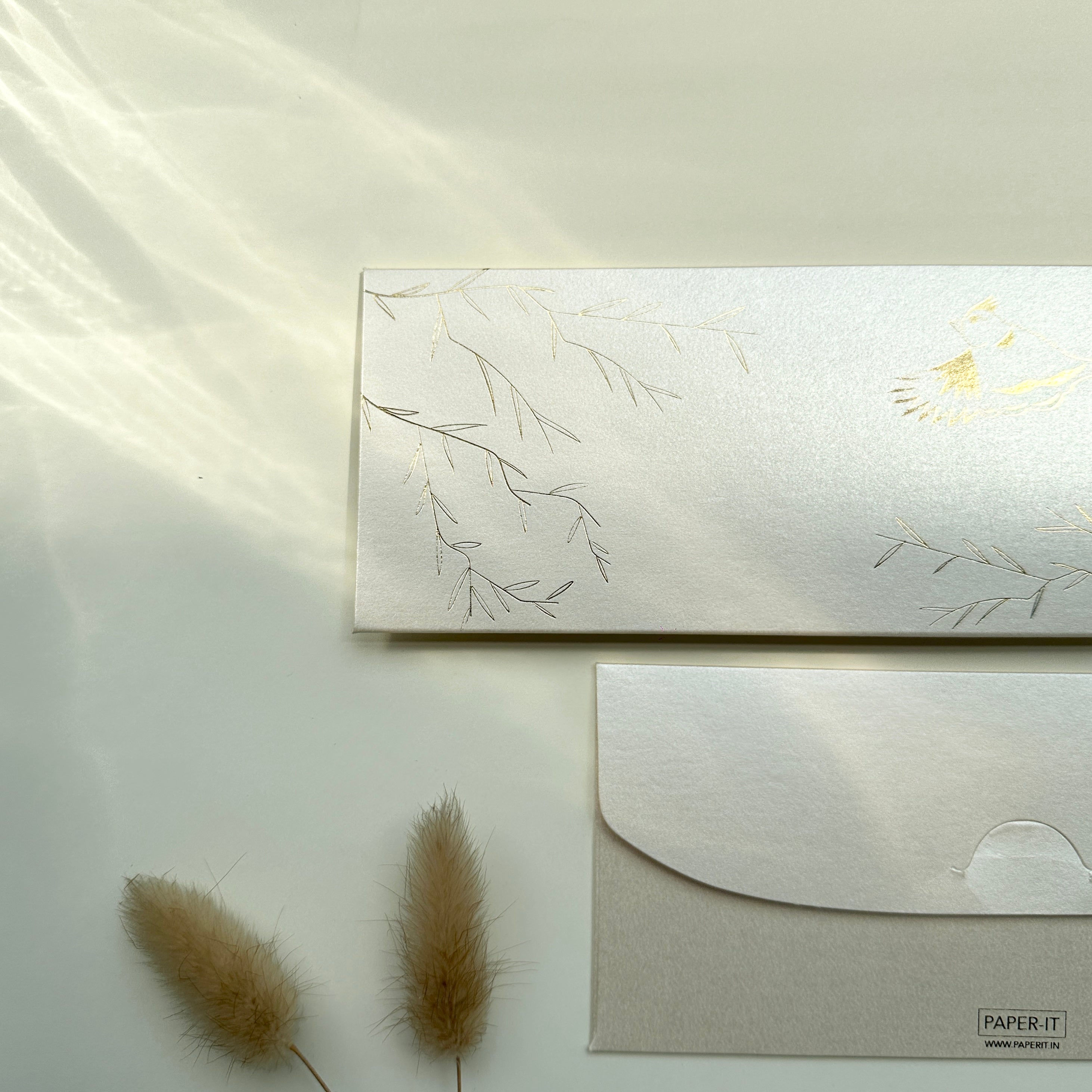 Bird song money envelopes (foiling) set of 12