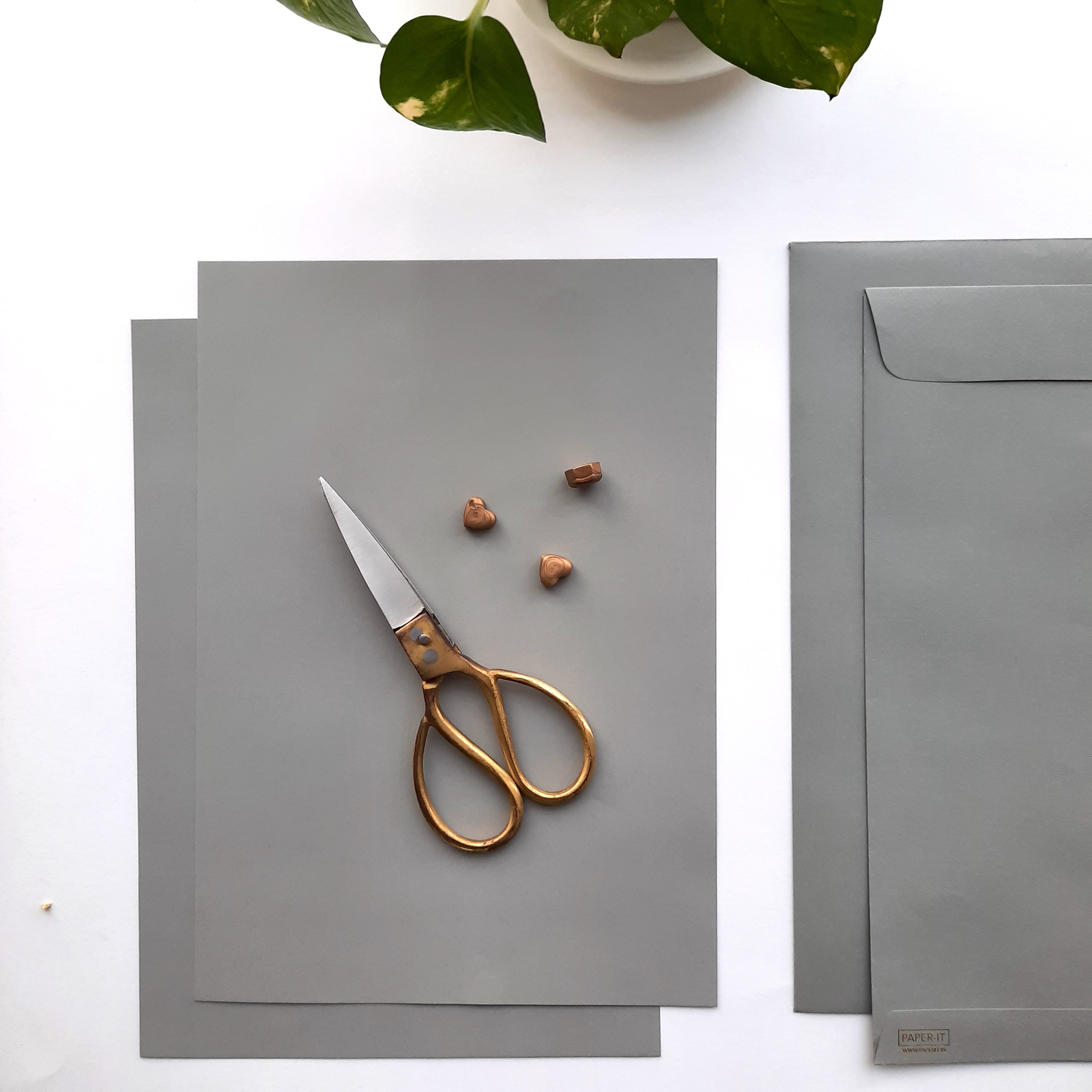 Grey catalog envelopes <br> Set of 10 (12"x9.7")