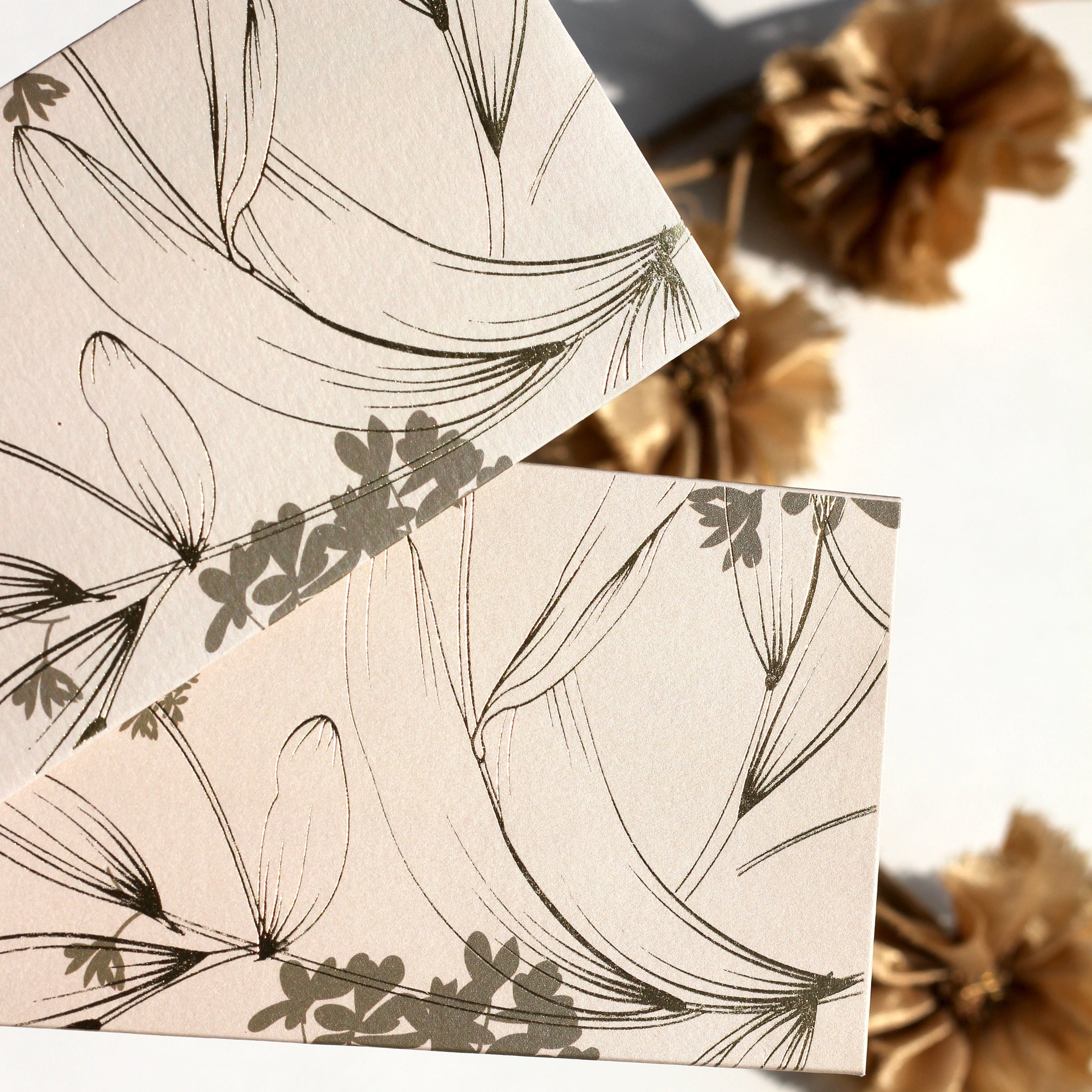 Ecru money envelopes (foiling) set of 12