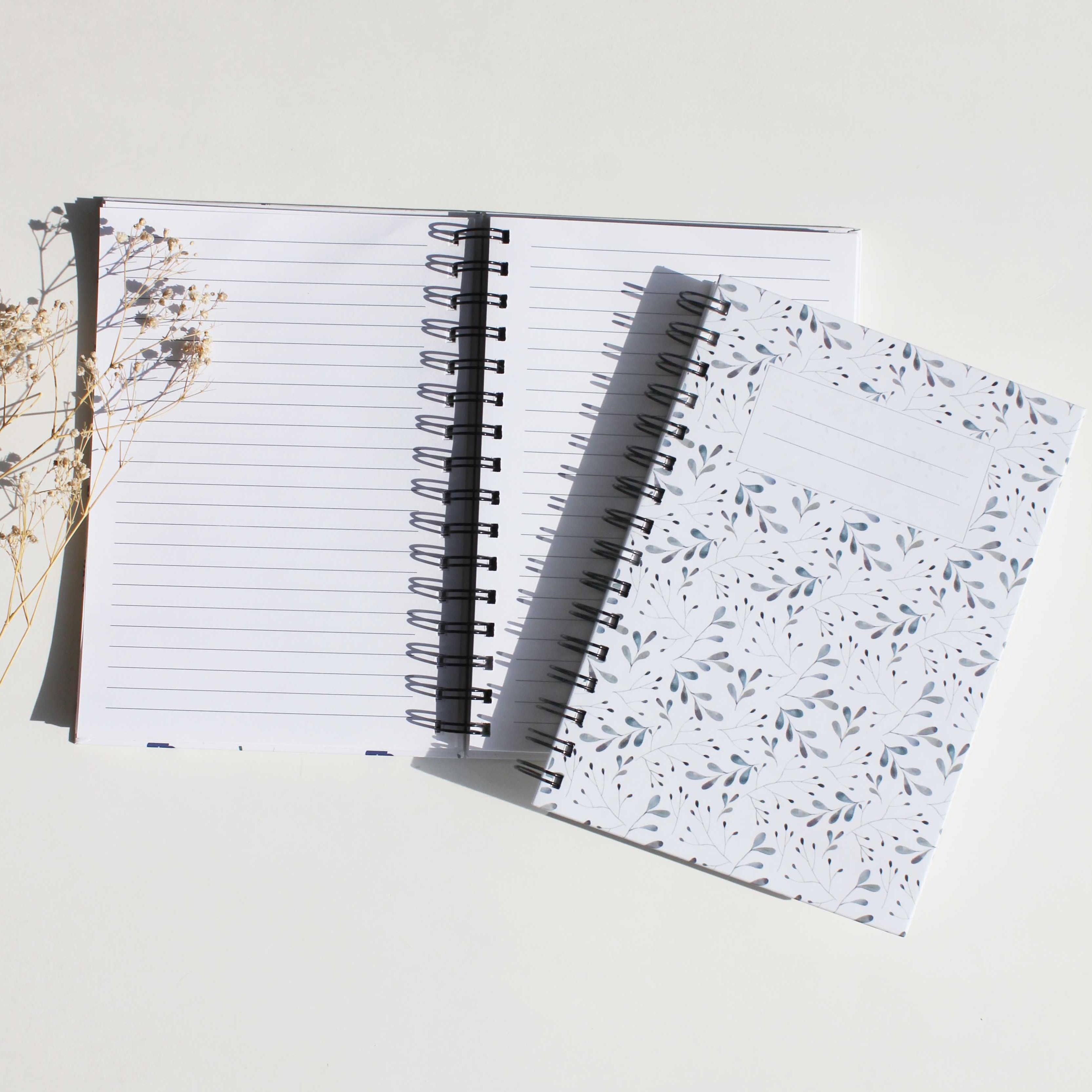 Coral Reef Notebook