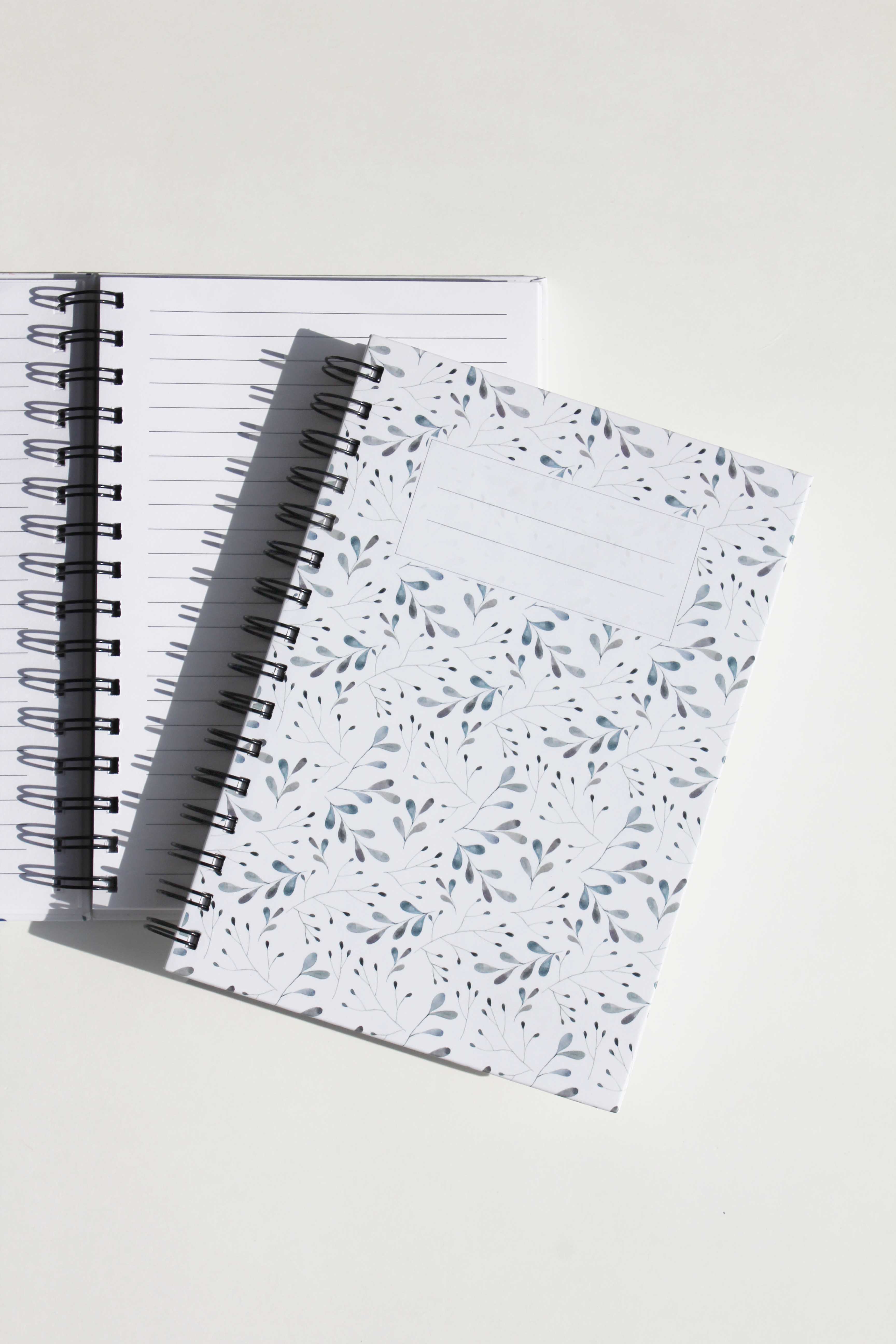 Coral Reef Notebook