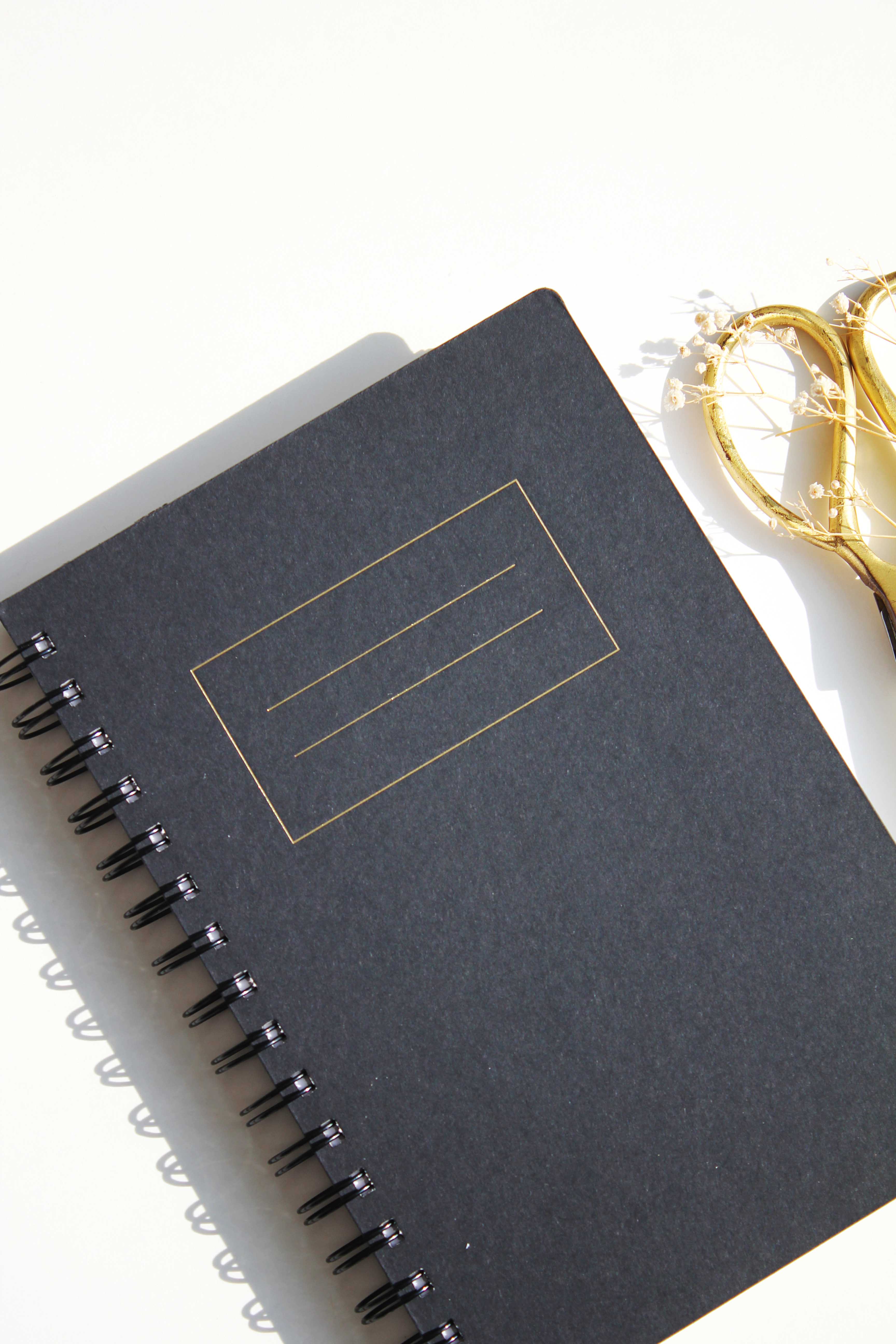 A5 Rosebud + Black Foiled Notebook (Set of 2)
