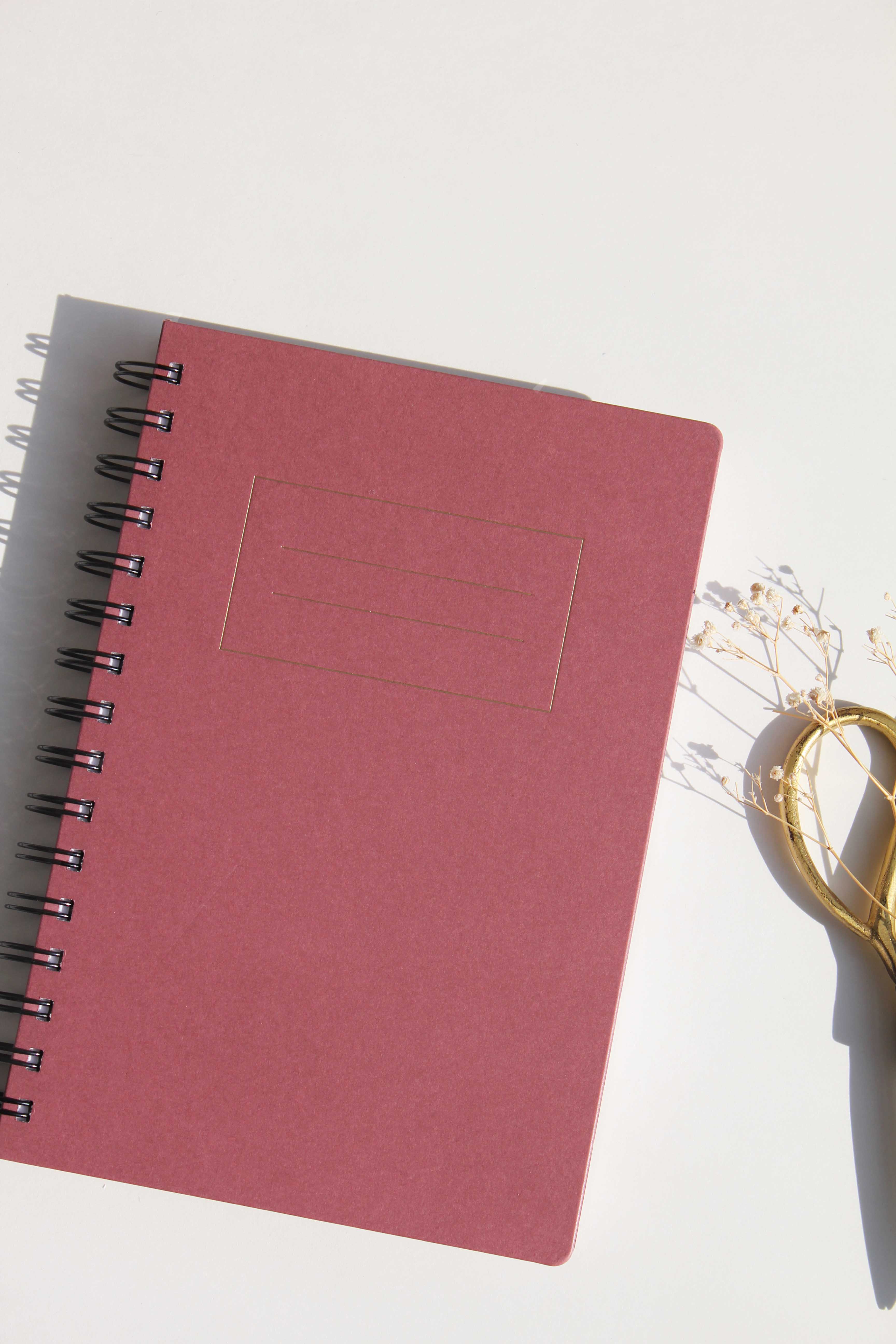 A5 Rosebud + Black Foiled Notebook (Set of 2)