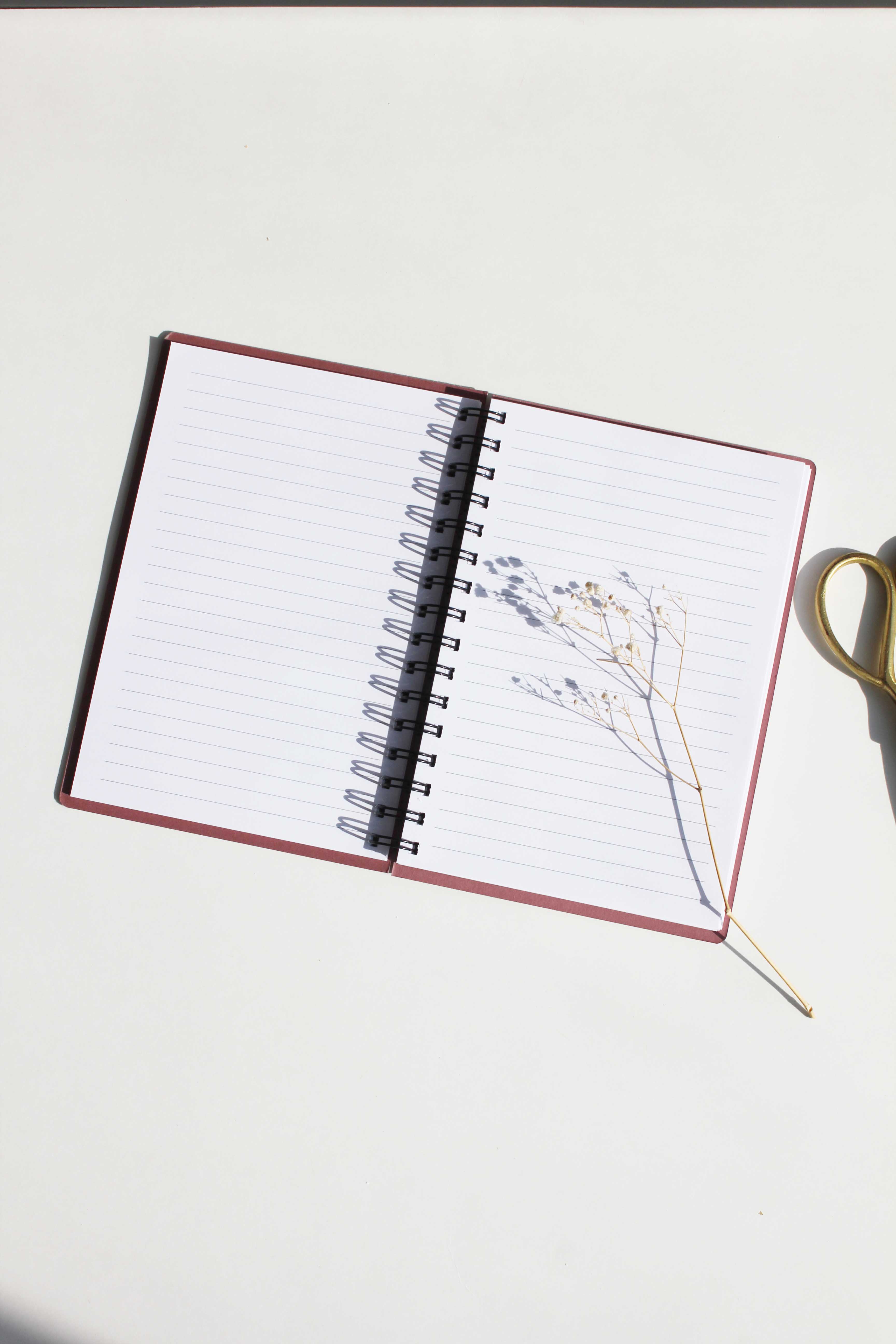 A5 Rosebud + Black Foiled Notebook (Set of 2)
