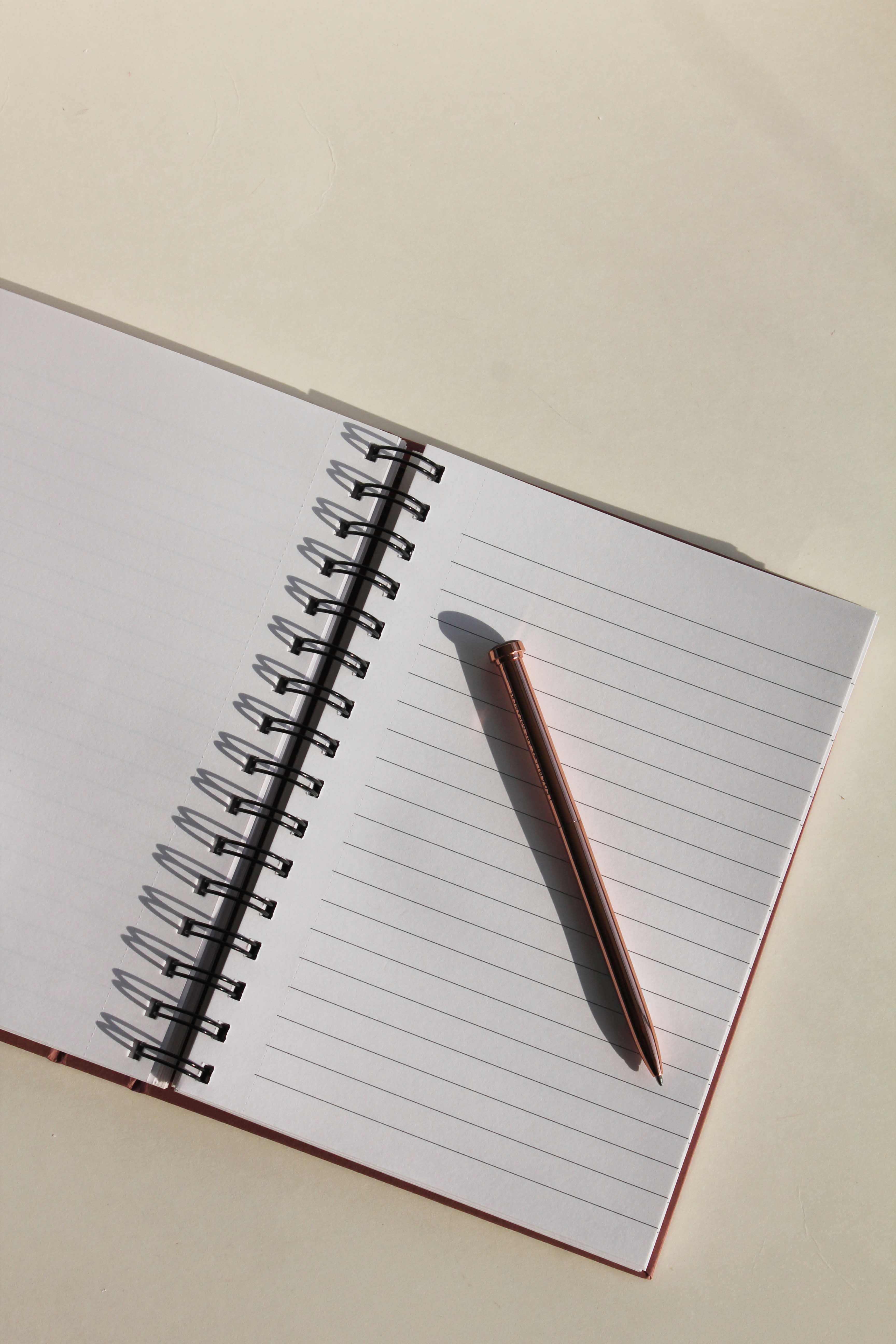 Rosebud foiled folder Notebook