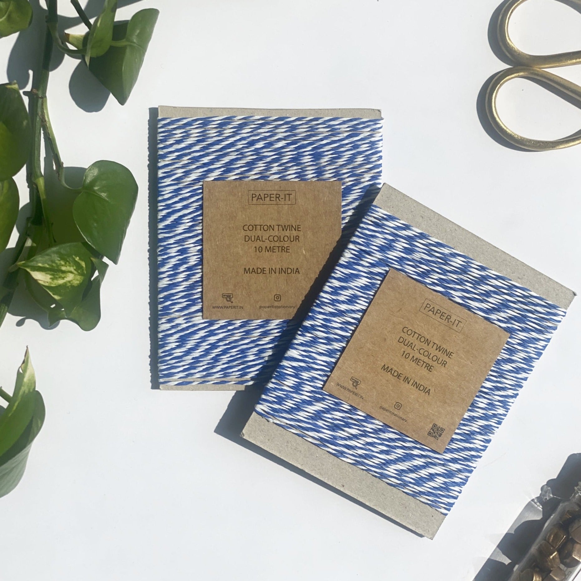 Blue Twine (10 metre)