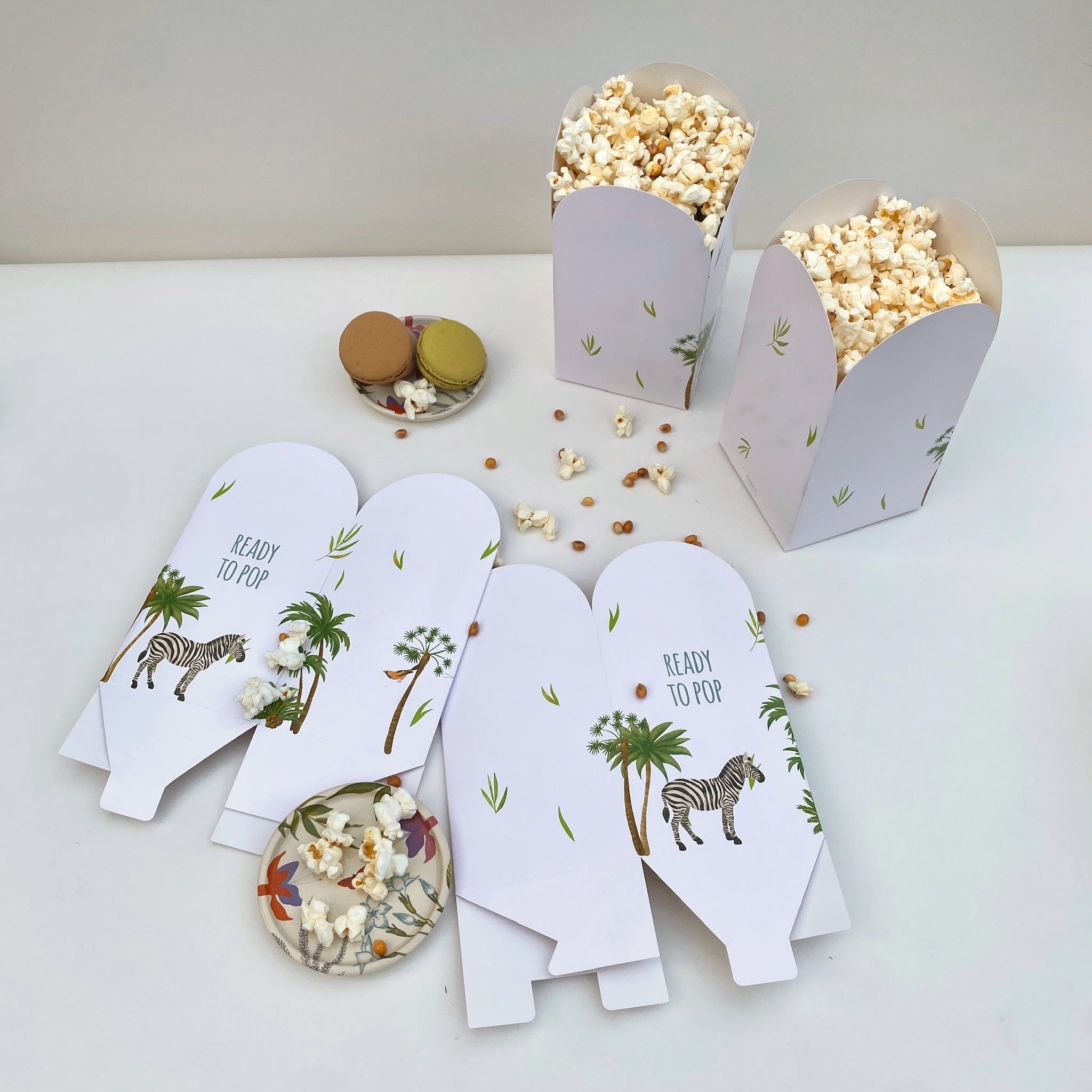 Popcorn party packs (set of 5)