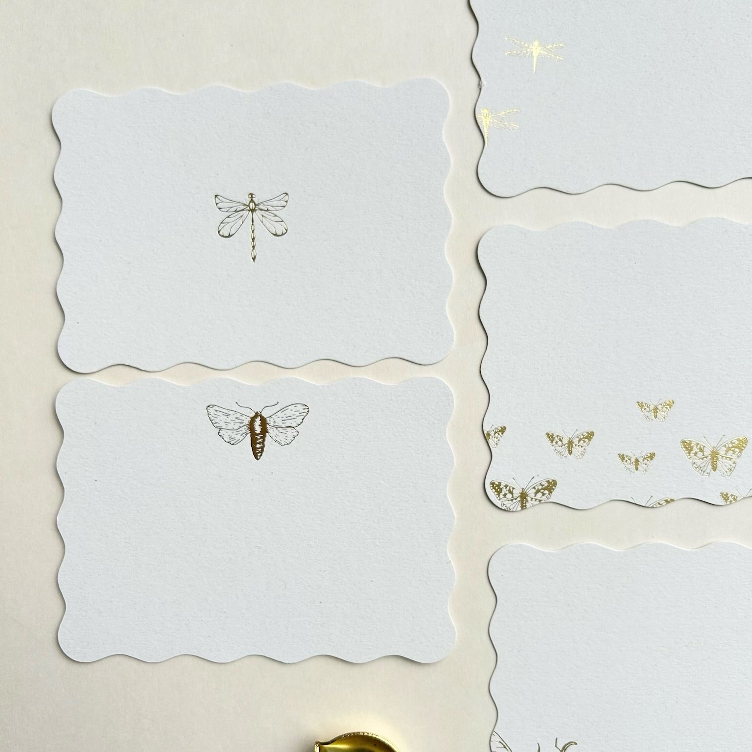 Insects foiled note cards | Set of 5