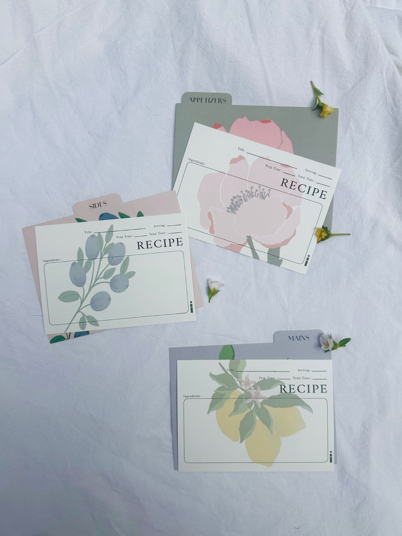 Citrus Grove | Recipe Cards Box